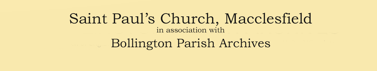 website logo